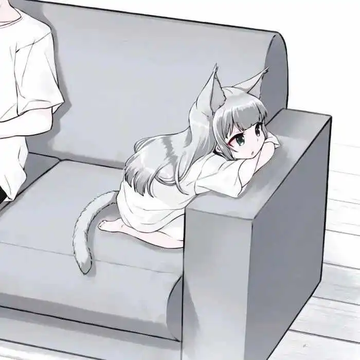 k8猫系圈里的小秘密,你真的知道吗? 一