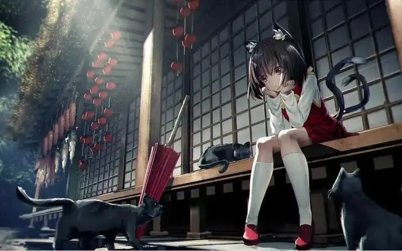 “sub是什么？探索BDSM世界里被动角色的魅力与边界” 一