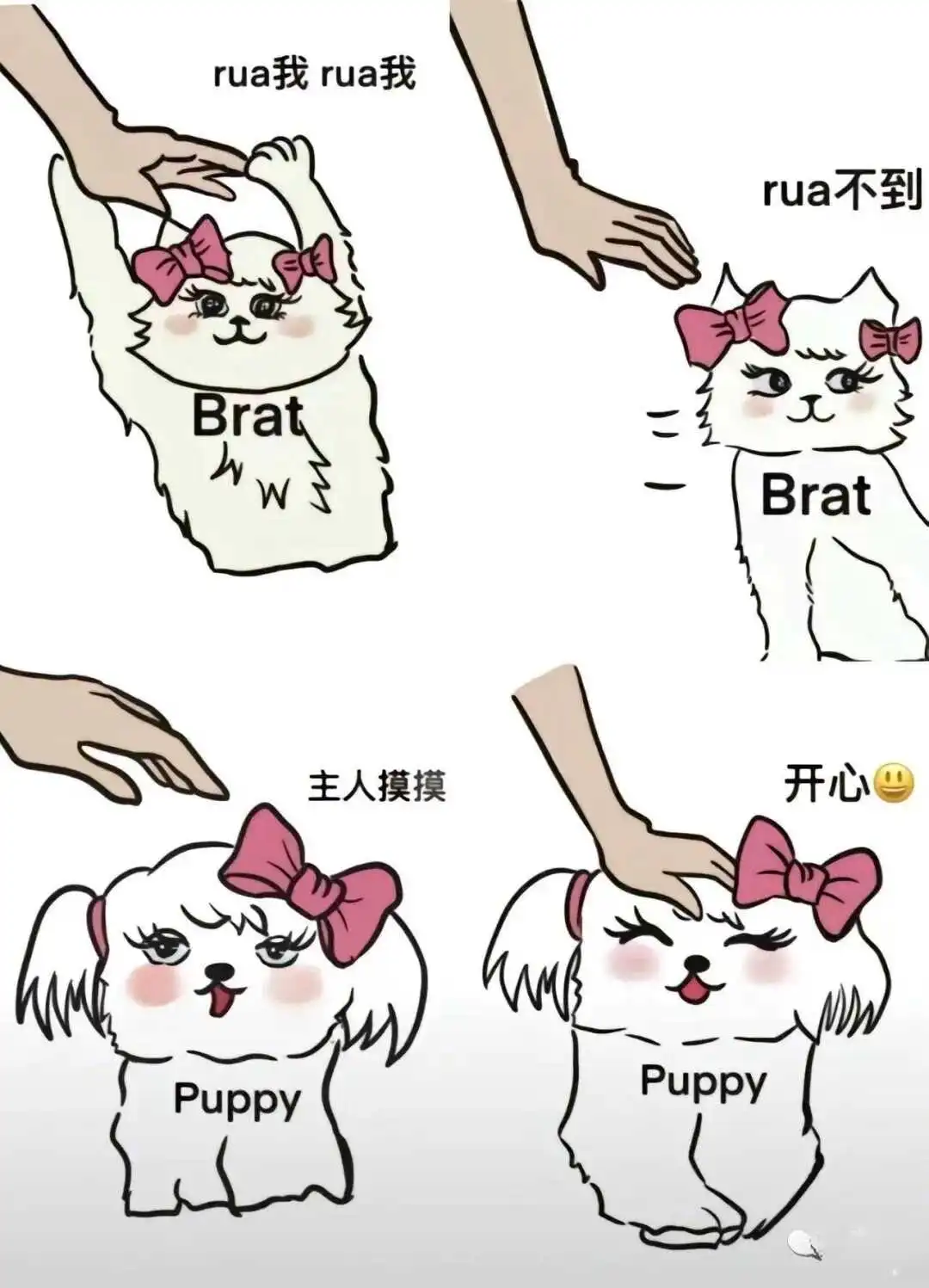 sub是什么？揭秘BDSM圈中臣服者的真实含义与魅力 一