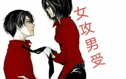 我的完美主宰 一