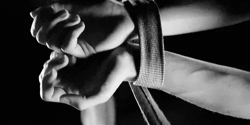 我与s倾向的迷人探索 一