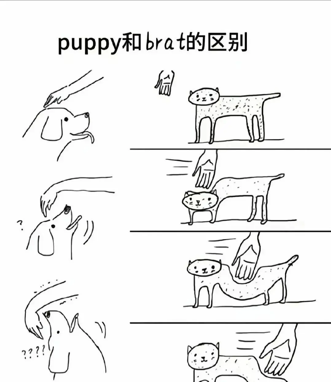 当我第一次踏入斯慕圈时,我的内心发生了什么变化 一