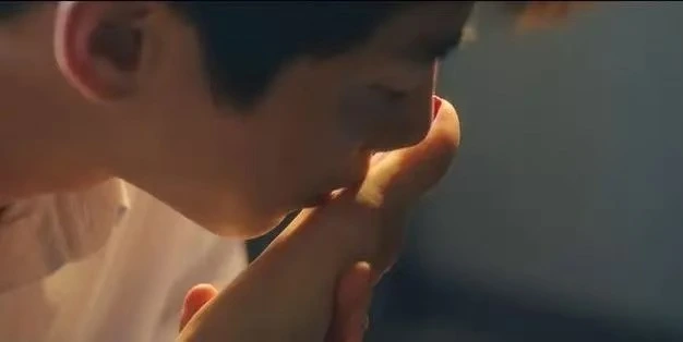 k9犬系究竟是什么?你不可不知的秘密! 一