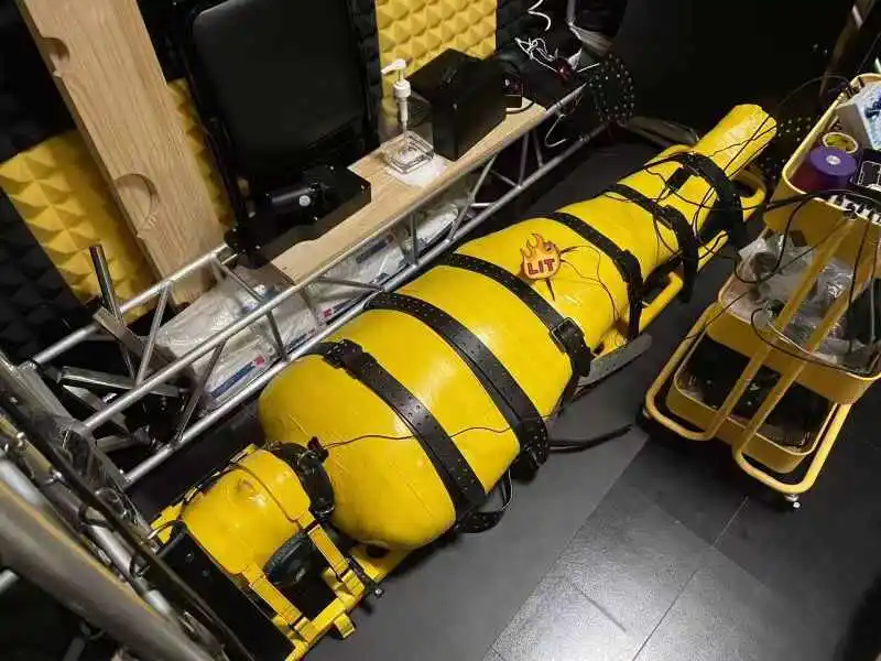 K9犬系揭秘:你了解它背后的魅力与激情吗? 一