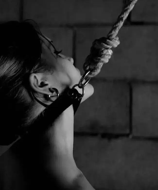 “k8猫系”-深度探索BDSM猫型角色的魅力与禁忌! 一