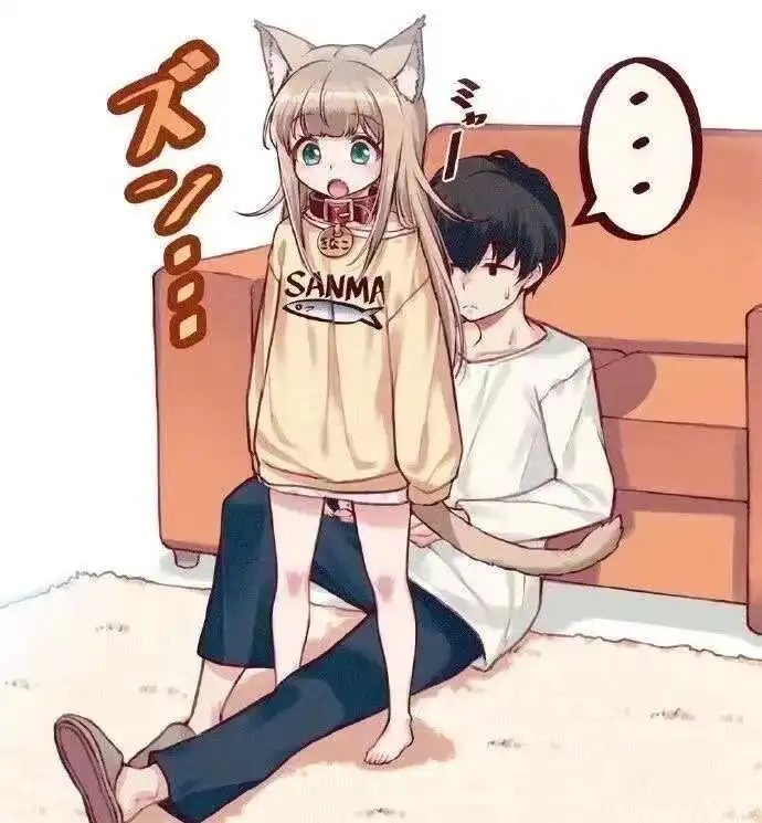 我的猫也有k8猫系的秘密你知道吗？ 一