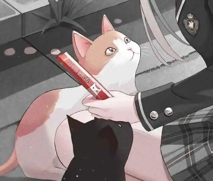 k8猫系是什么？探索猫奴的奇妙世界与隐藏倾向 一