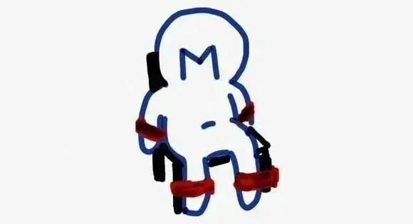 s倾向如何引领你的情感探索与身心解放 一