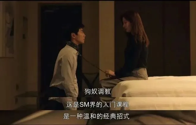 我的BDSM冒险之旅 一