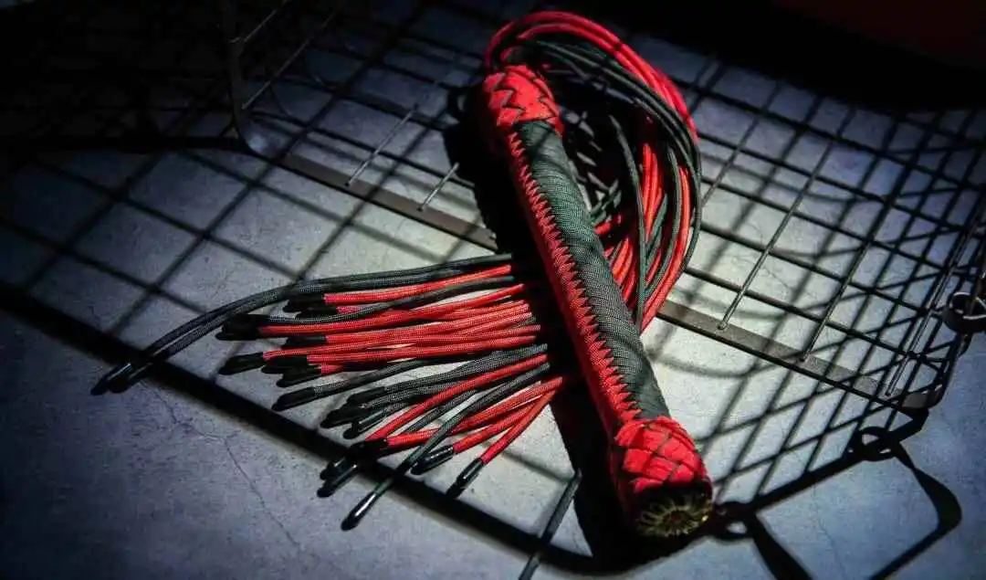 k9犬系深入探索与新手指南 一