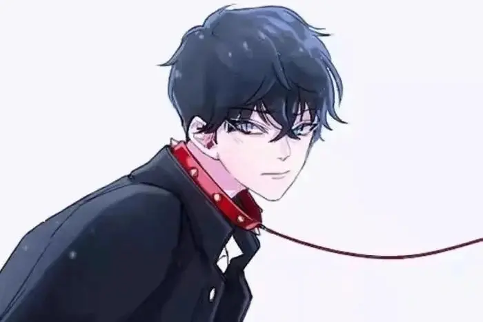 原来我也是sp小圈的一员，你发现了吗？ 一