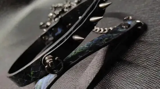 k9是什么?深入了解这款角色扮演中的狗奴体验 一