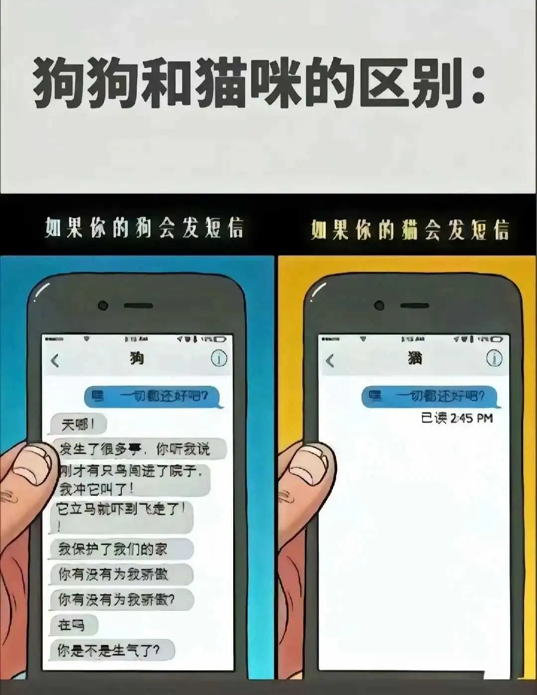 西檬之家BDSM入圈新人指南 一
