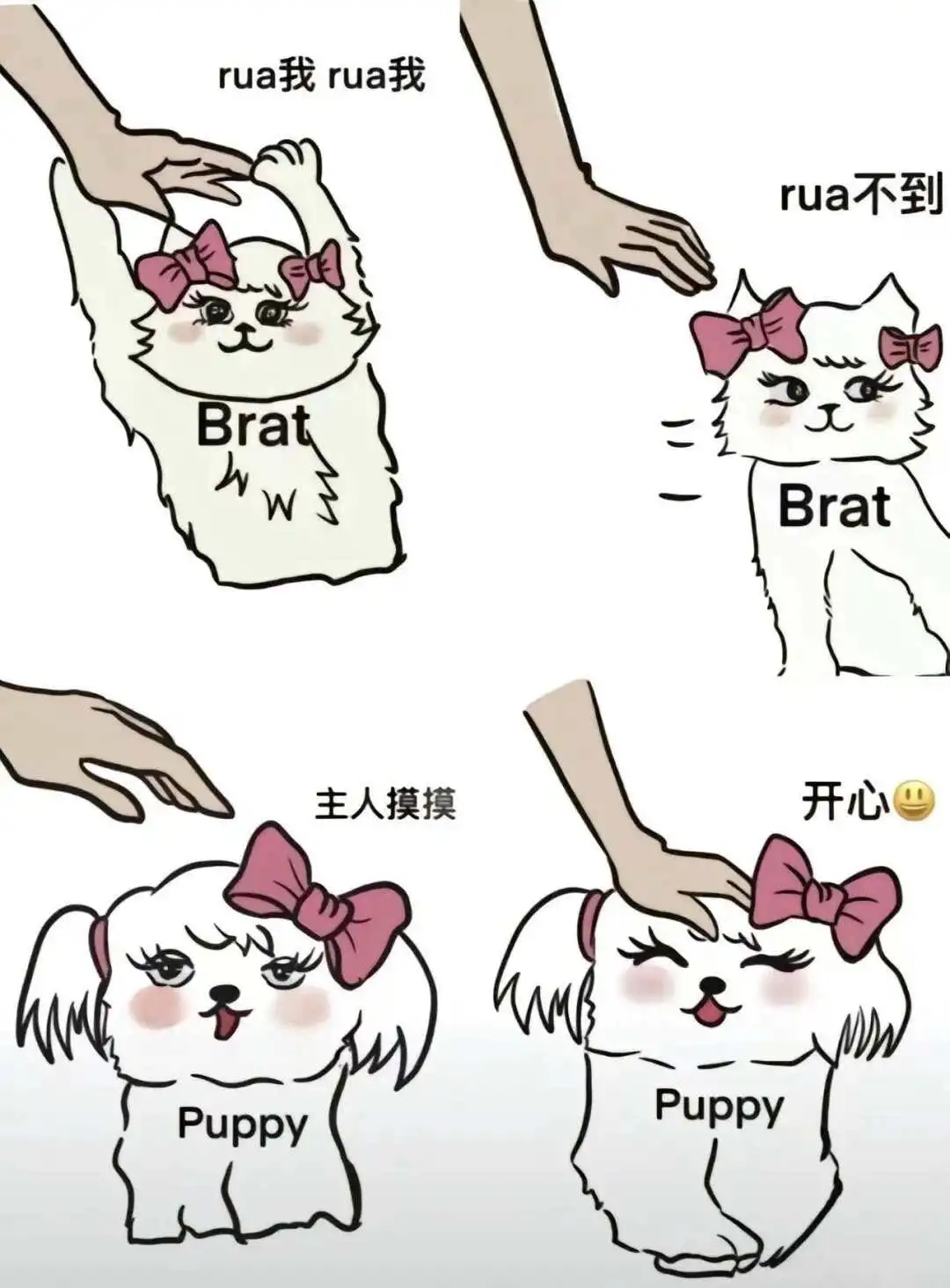 西檬之家斯慕圈新人入门指南 一