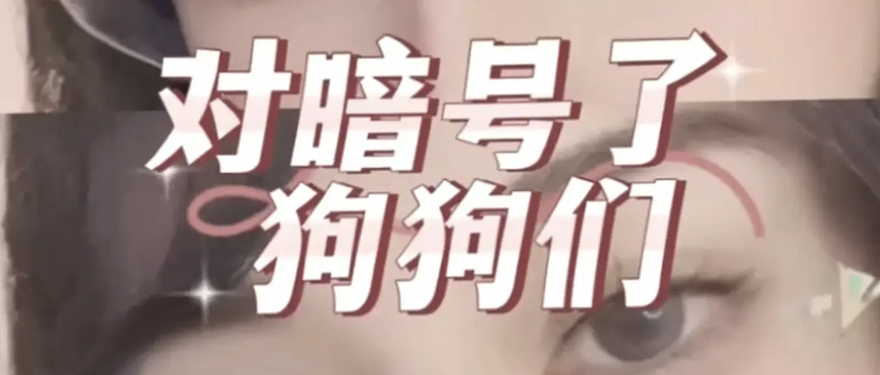 西檬之家女王是什么意思?字母圈新人必读 一