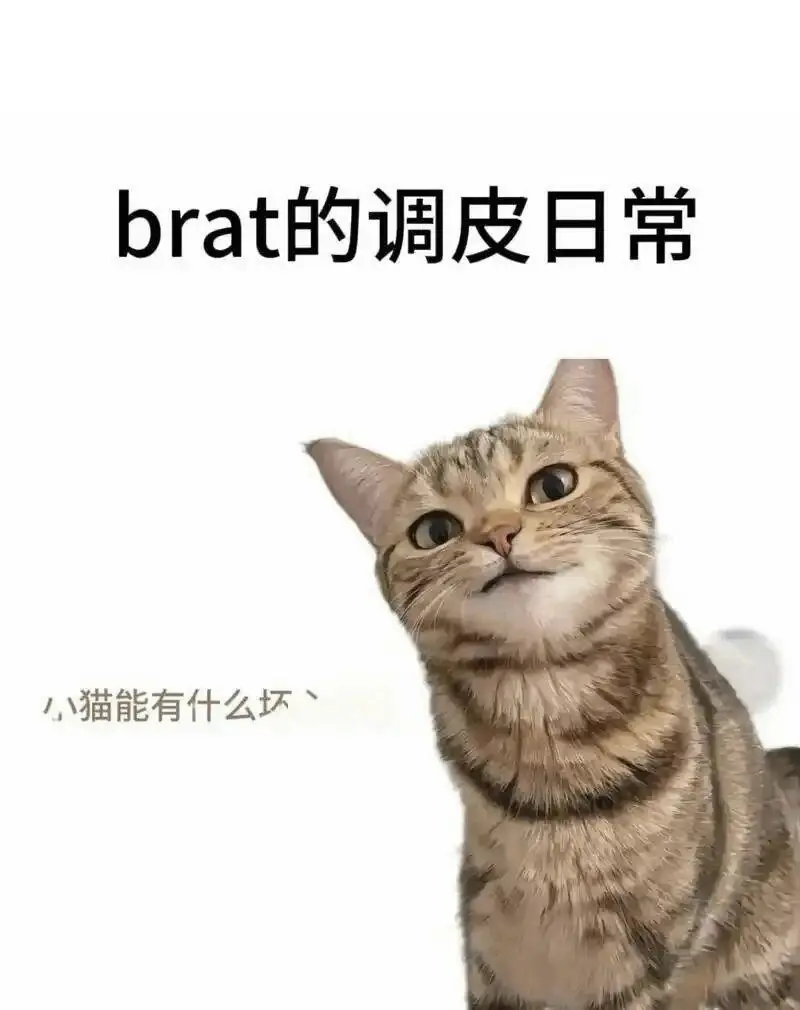 西檬之家字母圈入圈指南 一