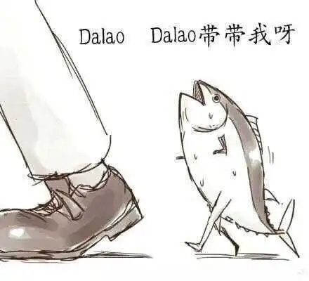 西檬之家k8猫系是什么?字母圈新人必看 一
