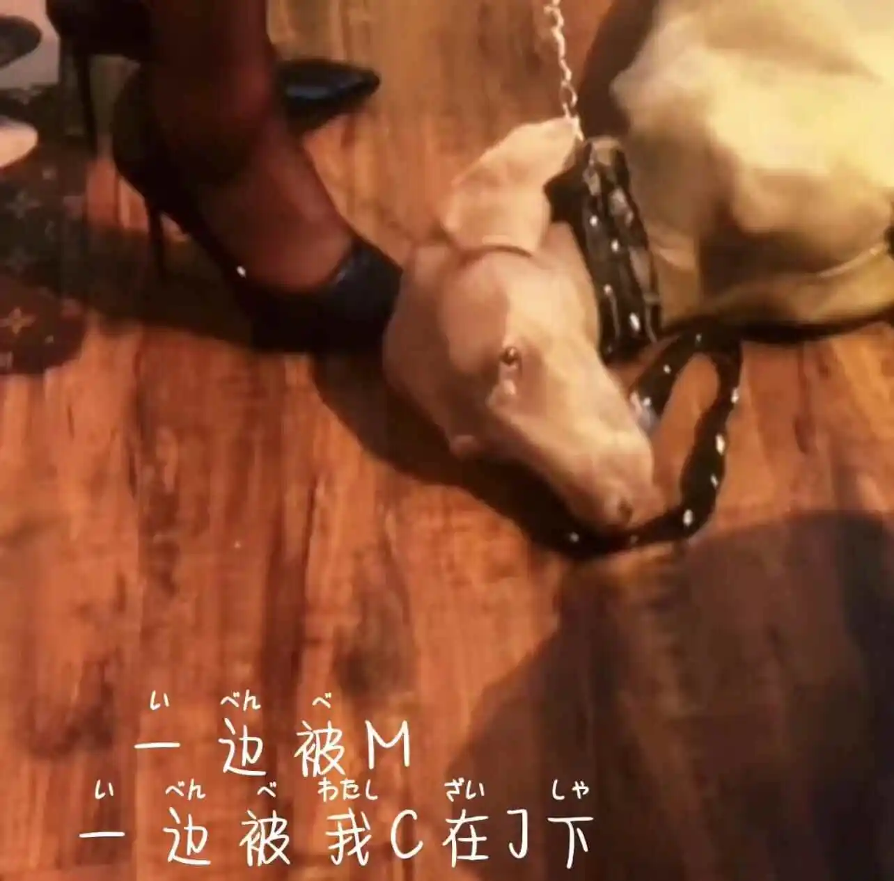 西檬之家SP小圈是什么?字母圈新人入圈指南 一