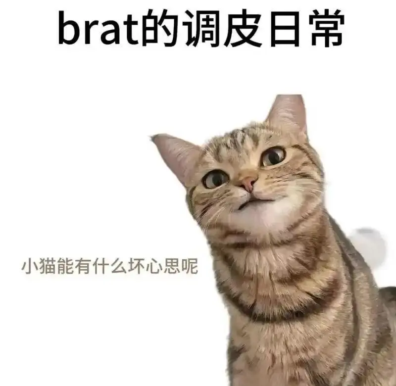 西檬之家dirty talk是什么?你的玩法适合吗 一